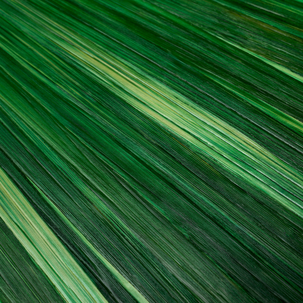 Bac de bureau en paille marquetry verte | Eichholtz Harvard L - vue d'ambiance | REMO-HOME