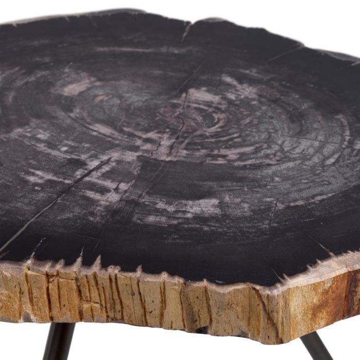 Table basse en bois pétrifié (lot de 3) | Eichholtz De Soto