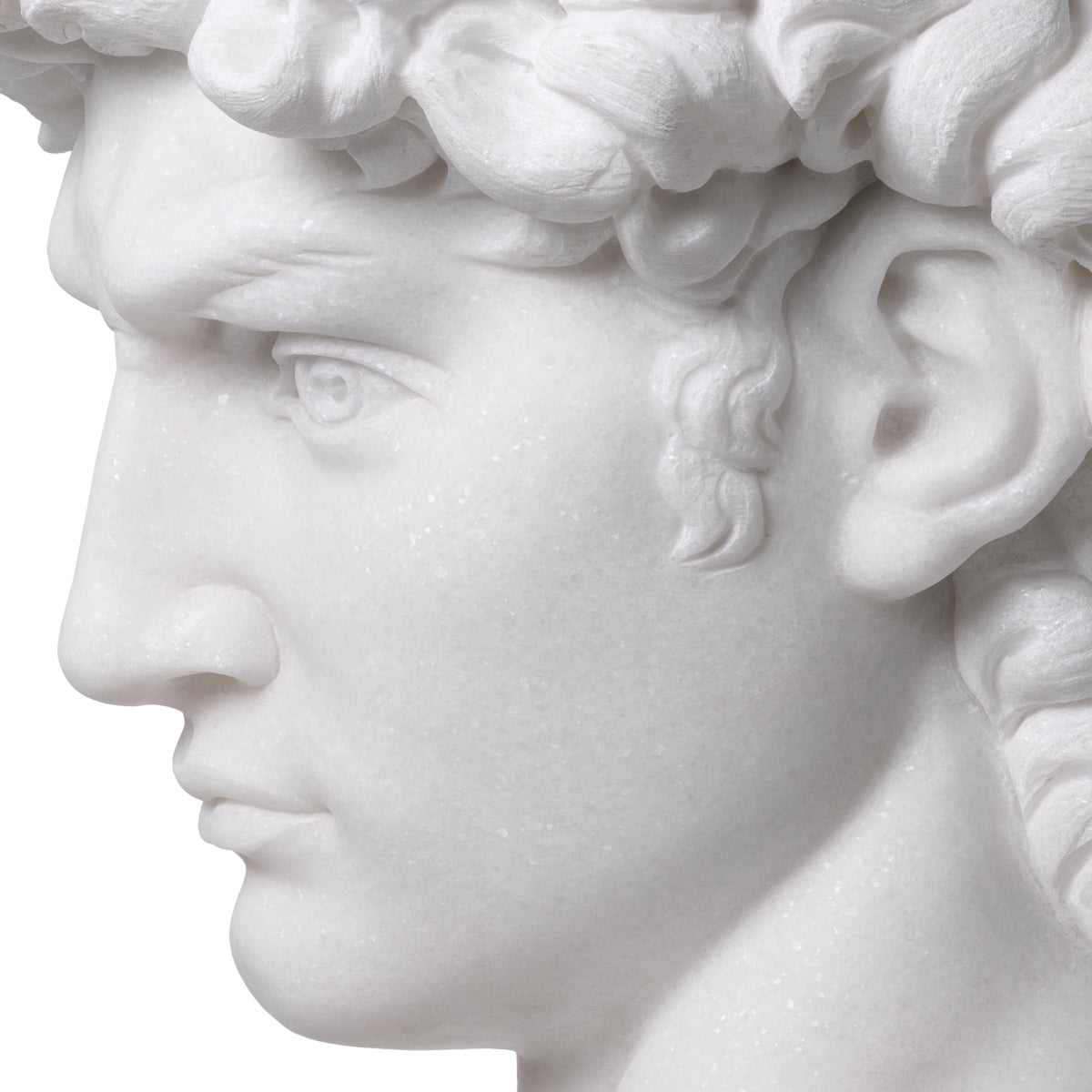 Sculpture Head en bronze avec socle en marbre | Eichholtz David - vue d'ambiance | REMO-HOME