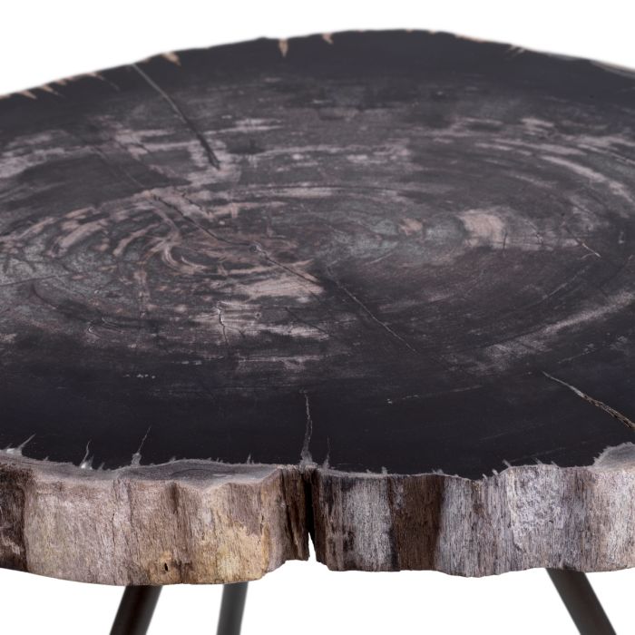 Table basse en bois pétrifié (lot de 3) | Eichholtz De Soto