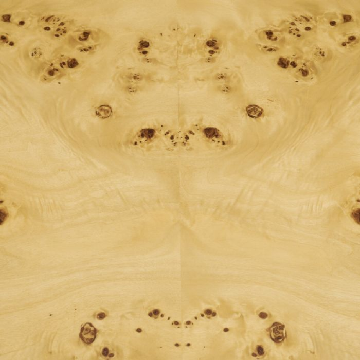 Console en bois exotique | Eichholtz Raphael | REMO-HOME, mobilier et décoration d'intérieur