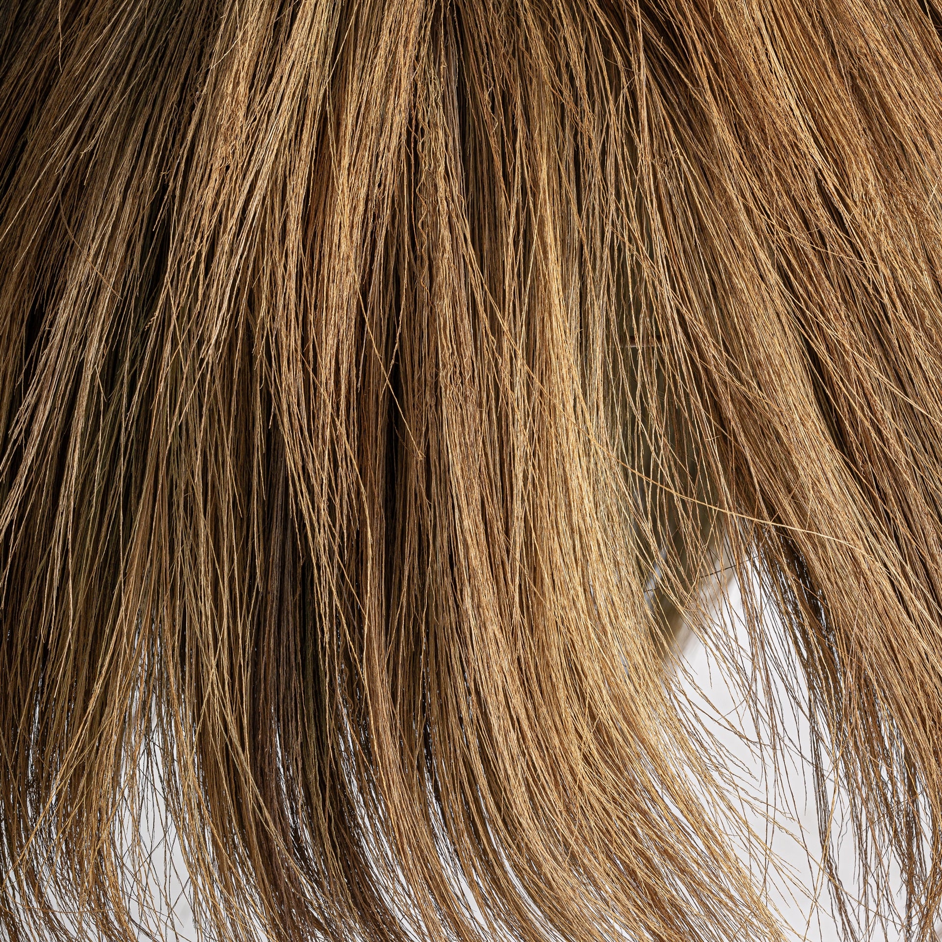 Lustre doré cylindrique en verre | VICAL Bayle | REMO-HOME, mobilier design et décoration d'intérieur