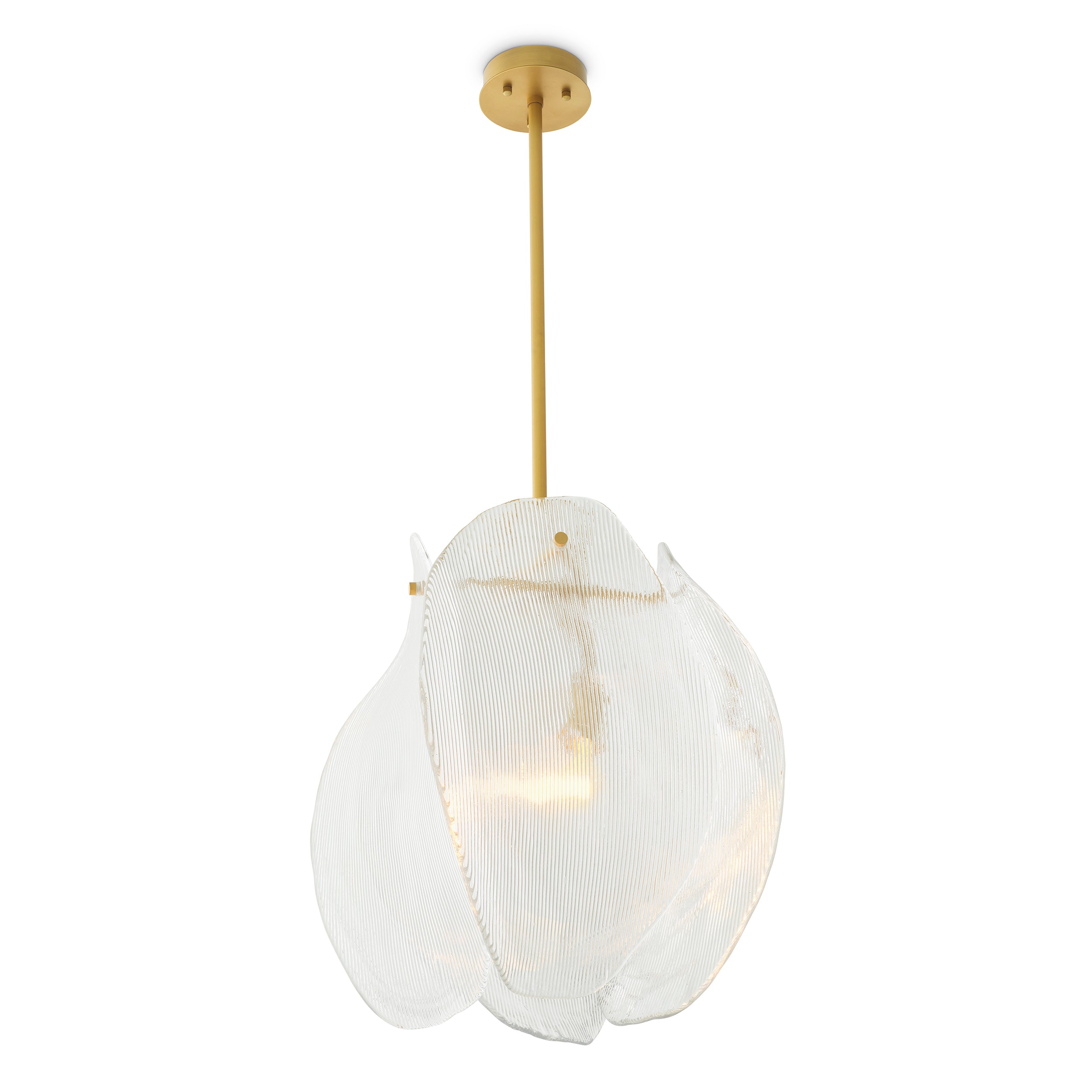 Lustre design haut de gamme | Eichholtz Chandelier Hibis