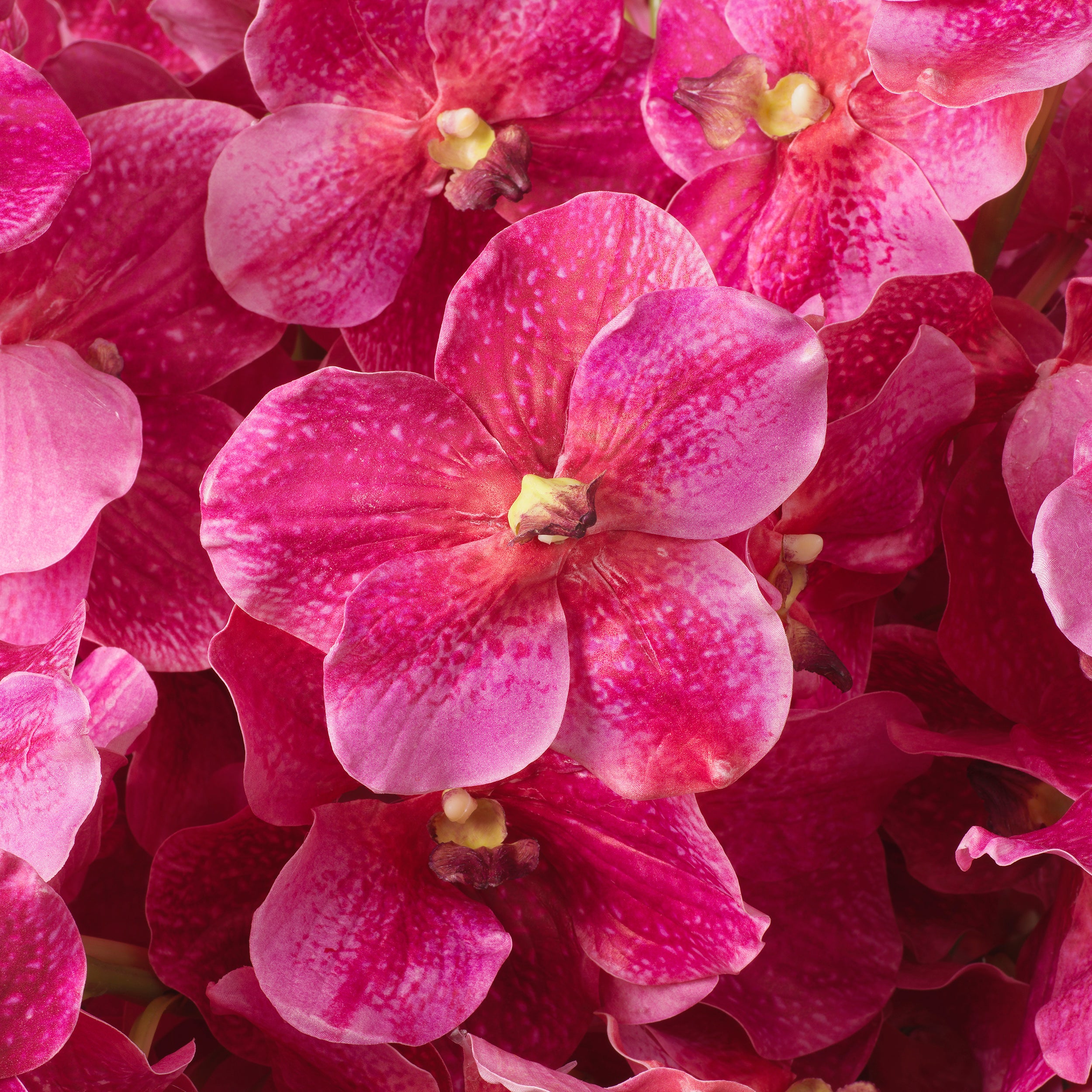 Decoration design en pink tones | Eichholtz Bouquet of