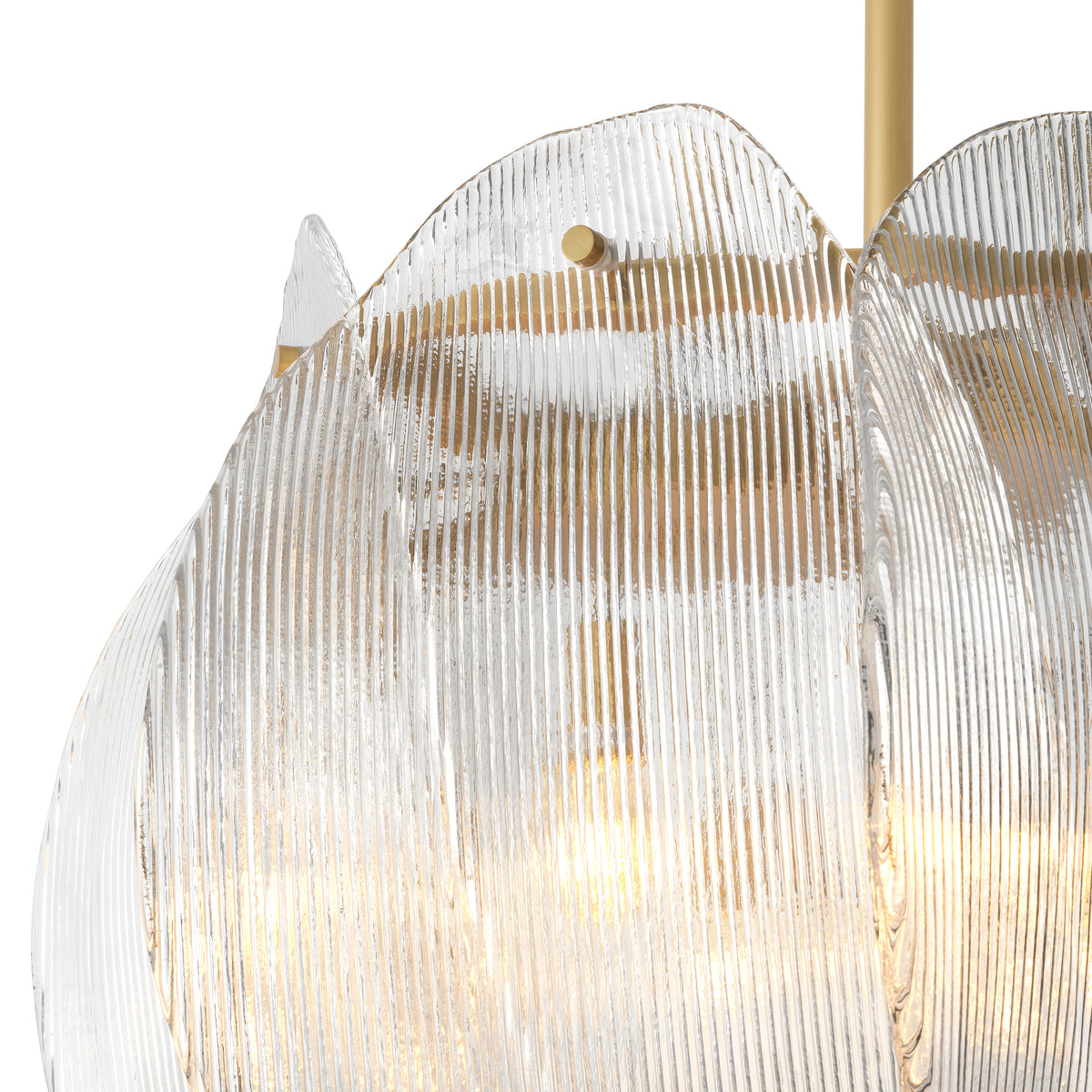 Lustre design haut de gamme | Eichholtz Chandelier Hibis