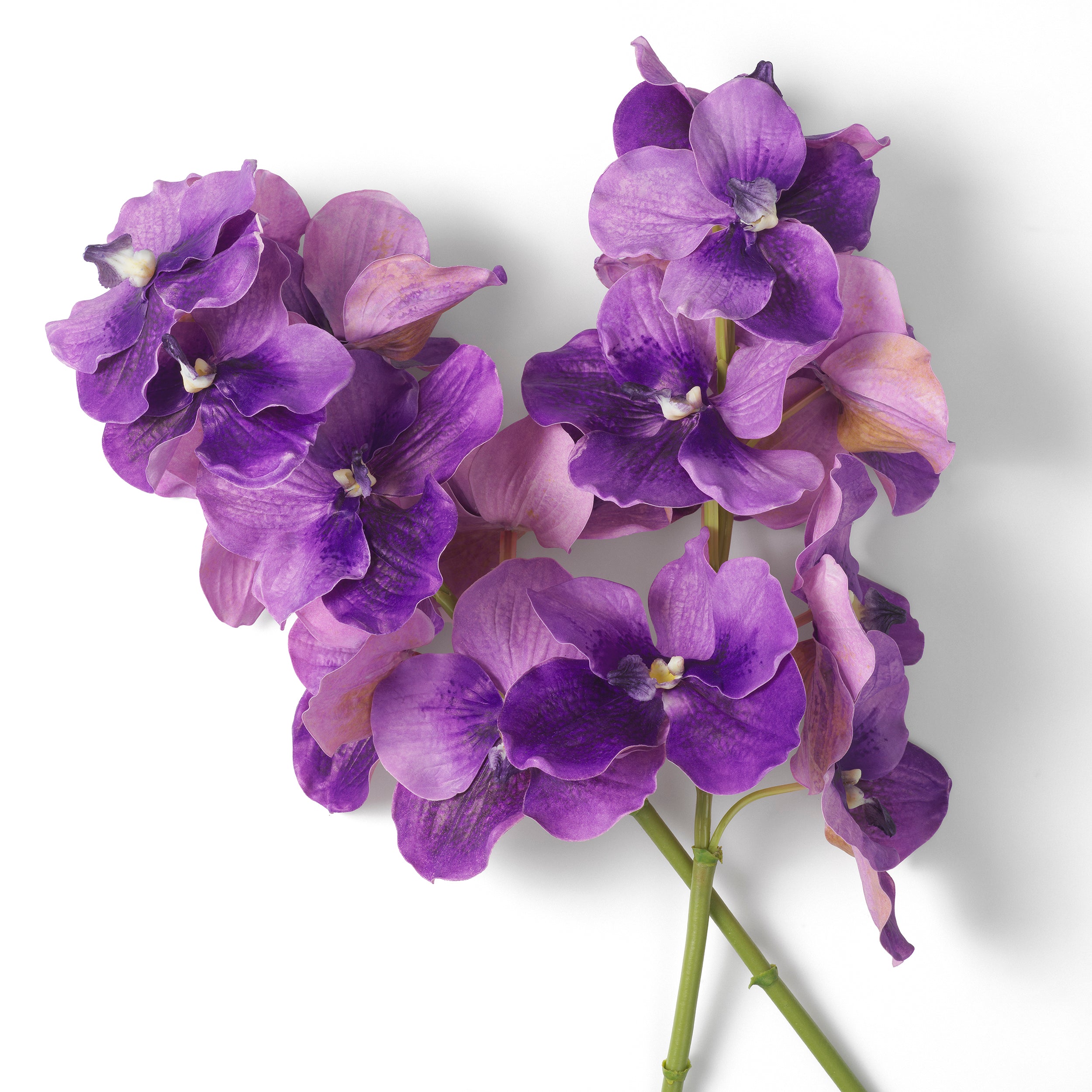 Decoration design en purple tones | Eichholtz Bouquet of