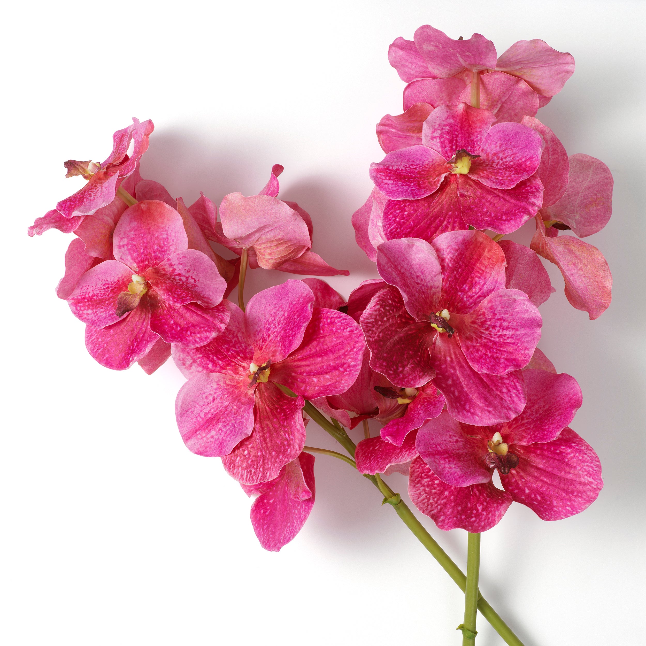 Decoration design en pink tones | Eichholtz Bouquet of