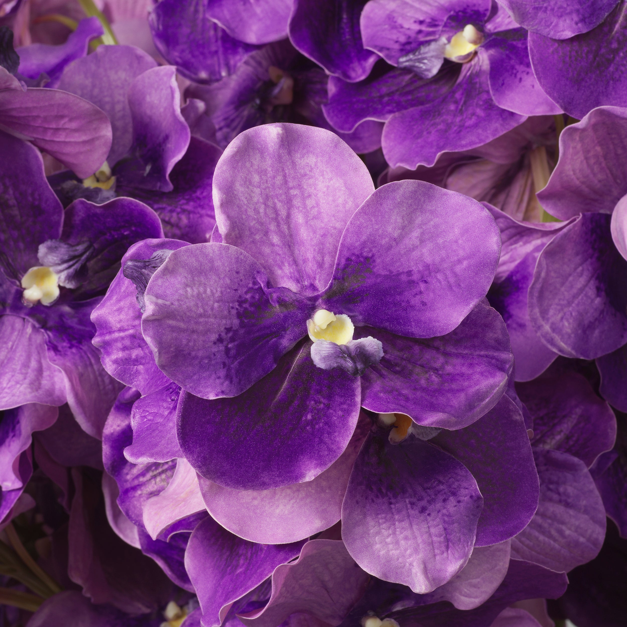 Decoration design en purple tones | Eichholtz Bouquet of