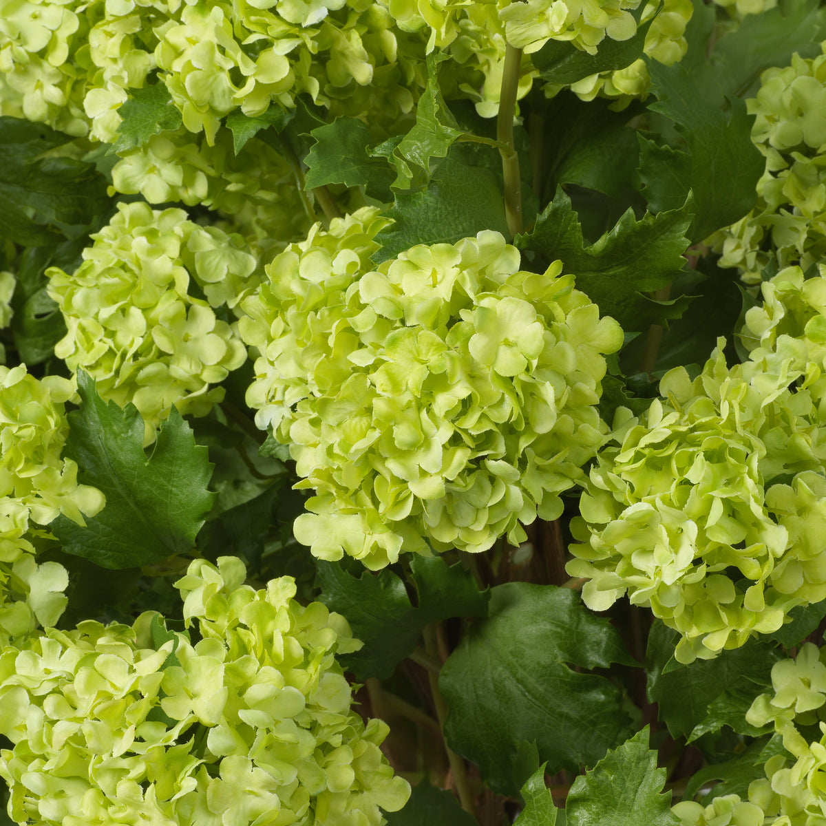 Decoration design en vert tones | Eichholtz Bouquet of
