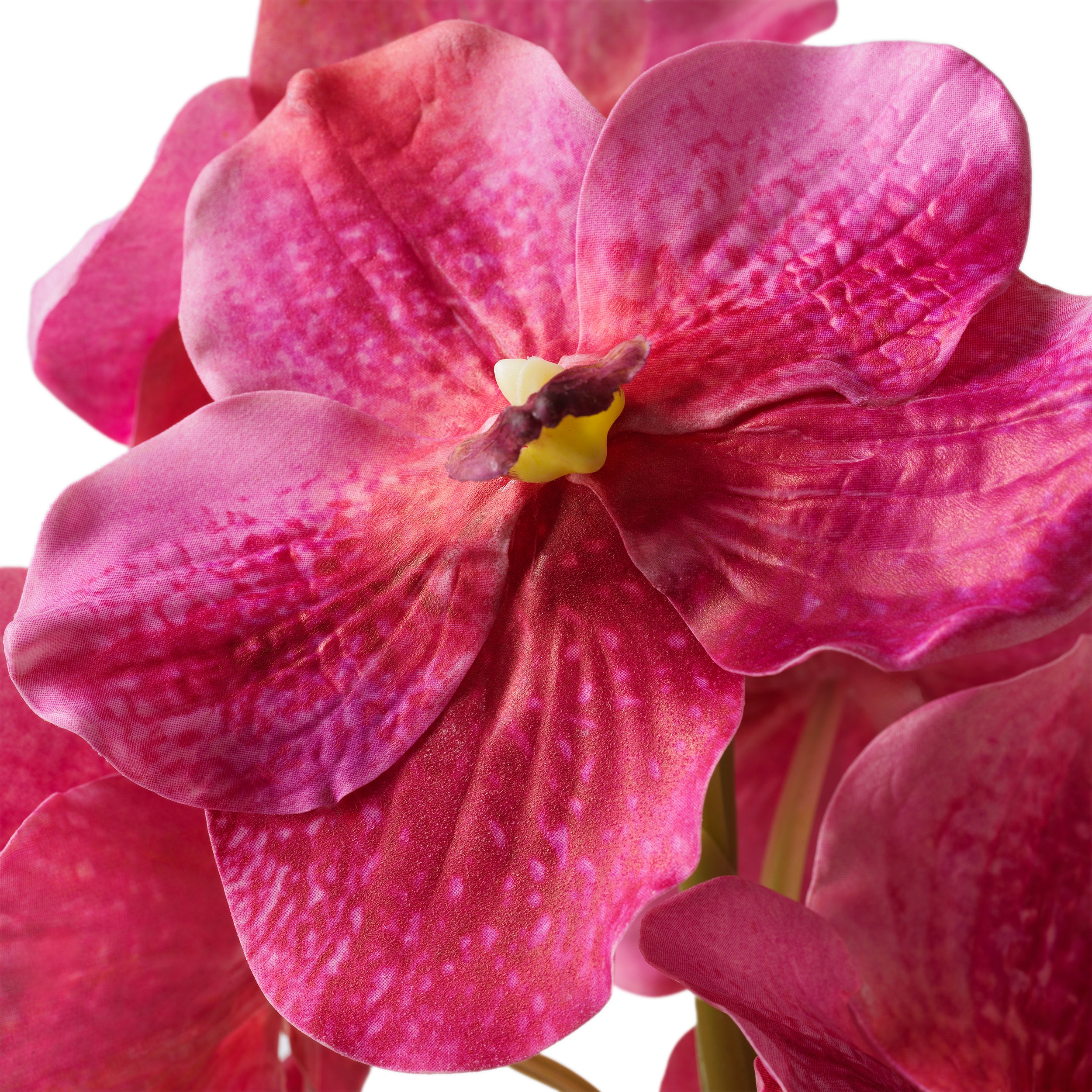 Decoration design en pink tones | Eichholtz Bouquet of